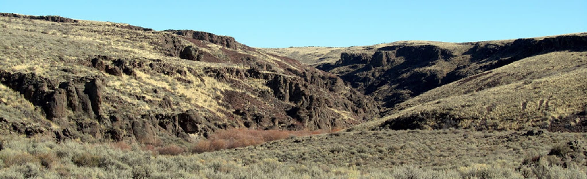 Trout Creek OHV Loop, Idaho Map, Guide AllTrails