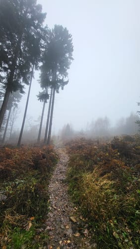 Hüggel Runde zum Silbersee