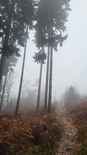 Hüggel Runde zum Silbersee