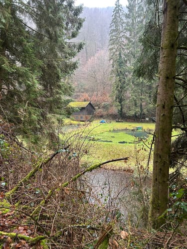 Hauensteiner Nr. 10