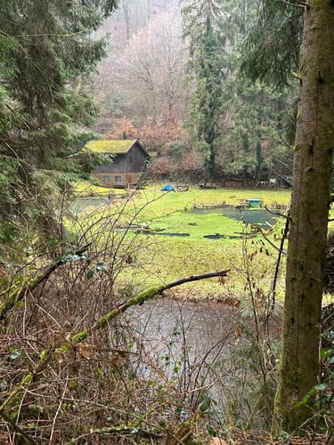 Hauensteiner Nr. 10