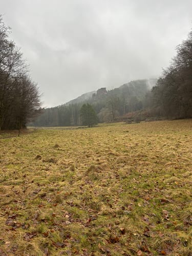 Hauensteiner Nr. 10