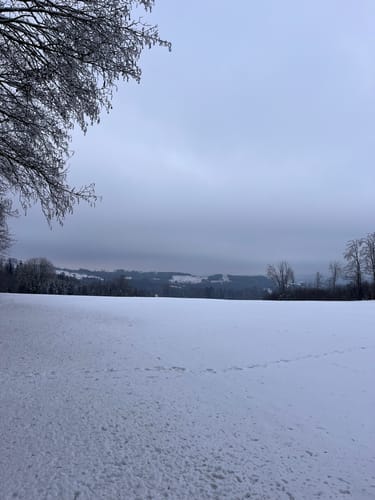 Rennsteig zum Staffellauf Weg