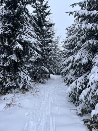 Rennsteig zum Staffellauf Weg