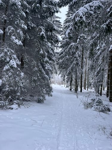 Rennsteig zum Staffellauf Weg