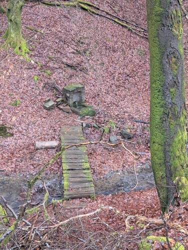 Tiefenbach-Pfad (Premiumwanderweg)