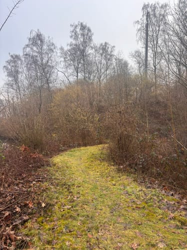 Rund ums Tüdderner Fenn