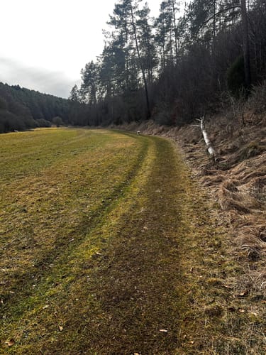 Wo Bäche schwinden (EifelSchleife)