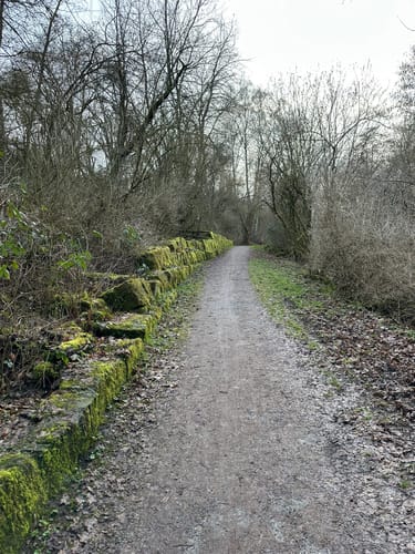 Schönebecker Schlucht - Winkhauser Tal Rundwanderung