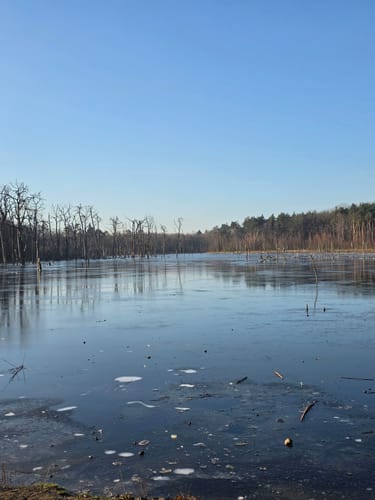 Durch die Kirchhellener Heide zum Heidesee