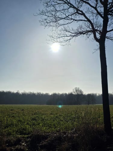 Durch die Kirchhellener Heide zum Heidesee
