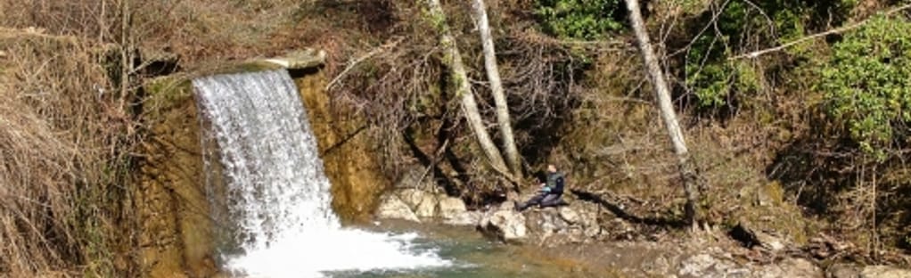 AllTrails | Sorgenti del Carigiola via Alta Val di Bisenzio: 1
