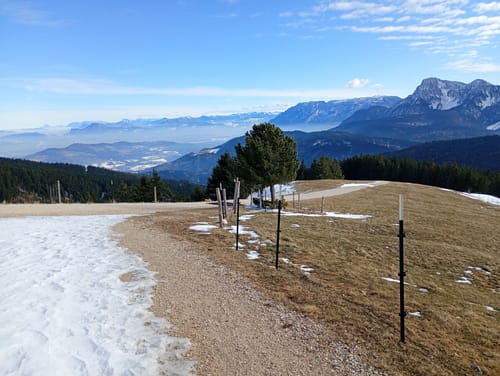 Stoiseralm ab Farnbichlalm