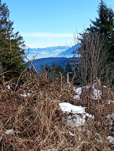 Stoiseralm ab Farnbichlalm