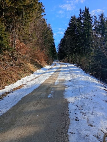 Stoiseralm ab Farnbichlalm