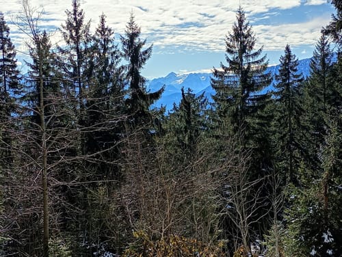 Stoiseralm ab Farnbichlalm