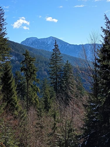 Stoiseralm ab Farnbichlalm