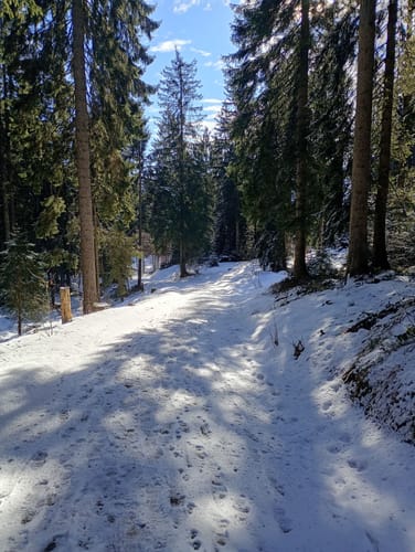 Stoiseralm ab Farnbichlalm
