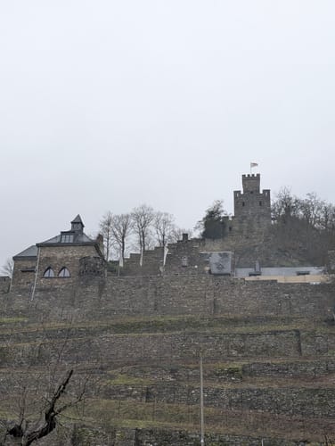 Rhein - Salzkopf - Franzosenkopf