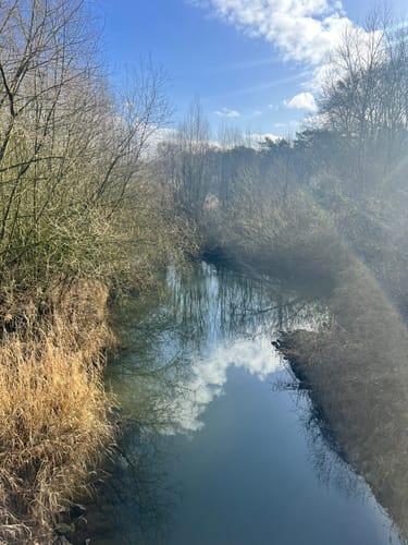 Steverauen bei Olfen