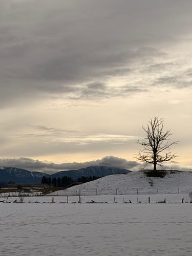 Großer Ostersee-Rundweg