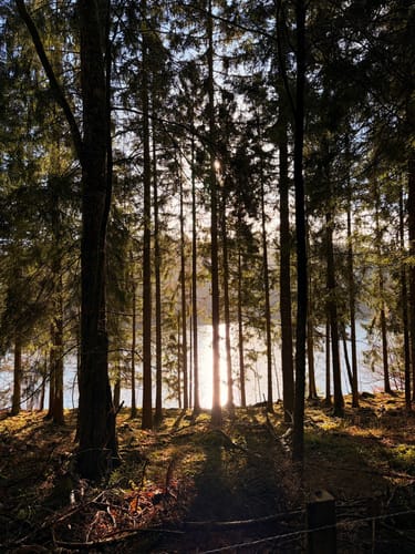 Kallbrück - Kalltalsperre - Ochsenkopf