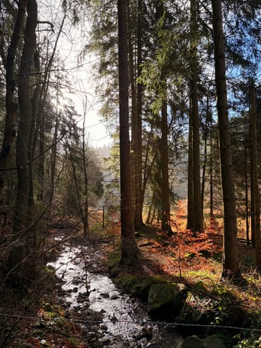 Kallbrück - Kalltalsperre - Ochsenkopf