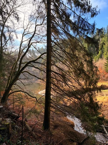 Kallbrück - Kalltalsperre - Ochsenkopf