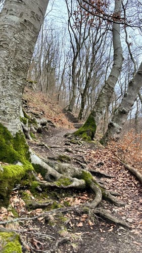 Rosenstein-Rundwanderung bei Heubach