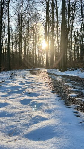 Rosenstein-Rundwanderung bei Heubach