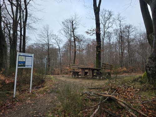 5-Weiher-Tour (Premiumwanderweg)