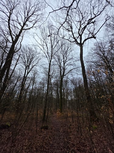 5-Weiher-Tour (Premiumwanderweg)