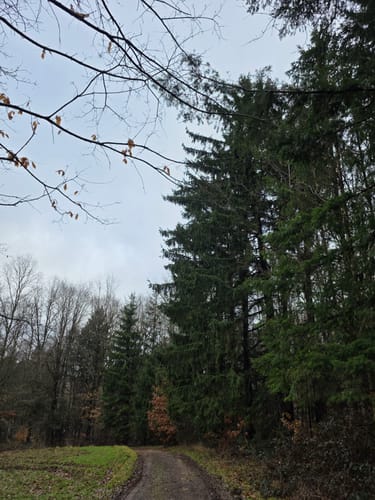 5-Weiher-Tour (Premiumwanderweg)