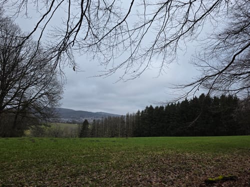 5-Weiher-Tour (Premiumwanderweg)