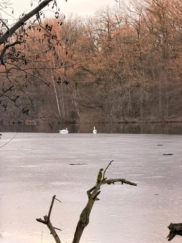 Beversee Rundweg
