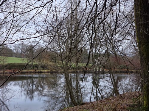 5-Weiher-Tour (Premiumwanderweg)