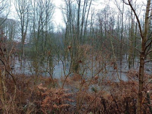 Niederkrüchten Mührather Hof: Zwei Seen Runde (alternativ)