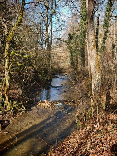 Bebenhausen - Goldersbachtal - Wildgehege