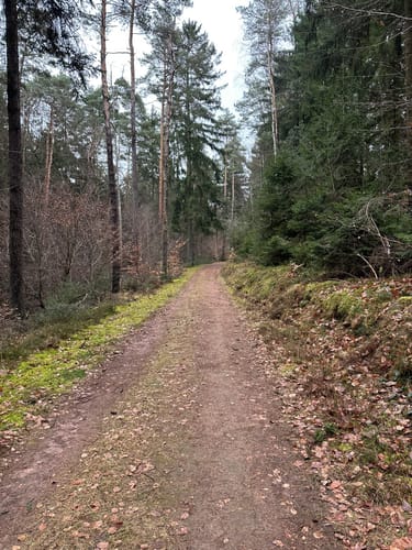 Drei-Berge-Blick Erfenbach