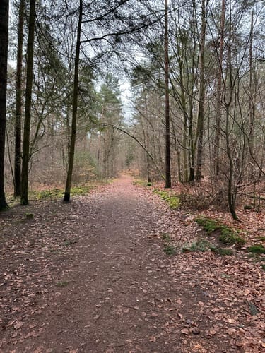 Drei-Berge-Blick Erfenbach