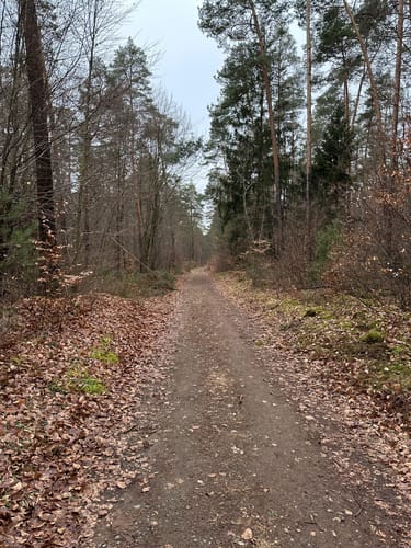 Drei-Berge-Blick Erfenbach