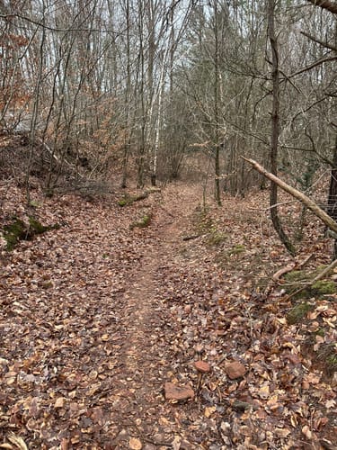 Drei-Berge-Blick Erfenbach