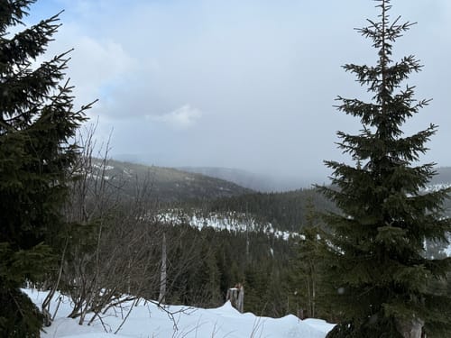 Waldhäuserriegel - Lusen