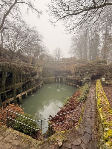 Vom Felsenweiher entlang dem Gutenbach