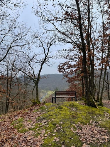 Eisenbachtal (WällerTour)