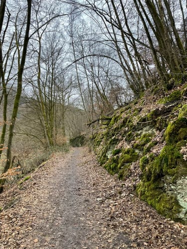 Eisenbachtal (WällerTour)