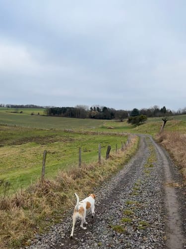 LZ15: Rundwanderweg Ockenfels