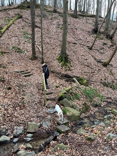 LZ15: Rundwanderweg Ockenfels
