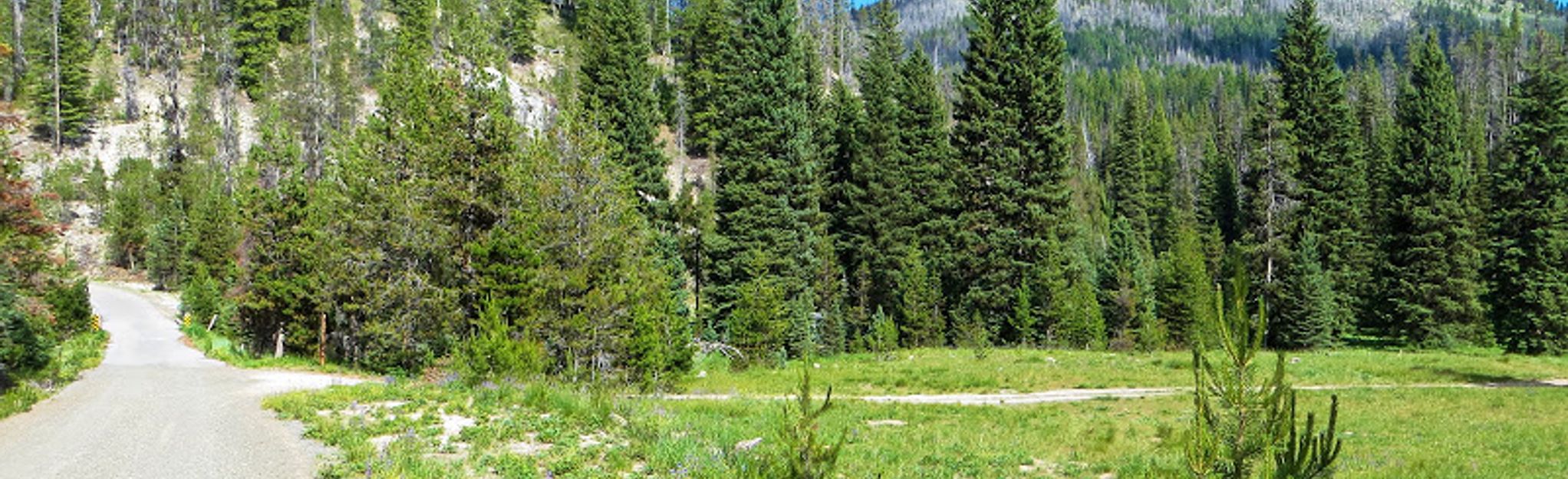 Herrick Lake Clear Creek And Stolle Meadows Ohv Trail Map Guide Idaho N Alltrails