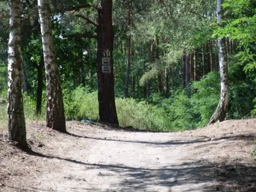 Best Forest Trails in Chełmiński Park Krajobrazowy | AllTrails